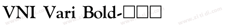 VNI Vari Bold字体转换